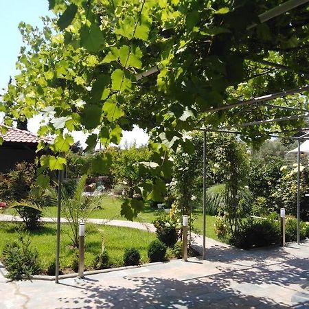Villa Viktoria Halkidiki Nea Silata Zewnętrze zdjęcie